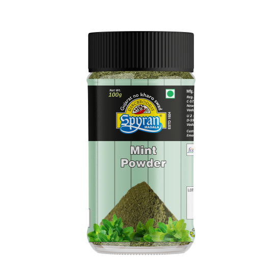 Fudina/Mint Chutney Powder